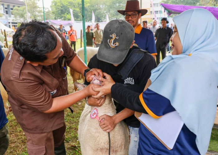 Pemprov Jateng Pastikan Hewan Kurban Sehat dan Aman Dikonsumsi 