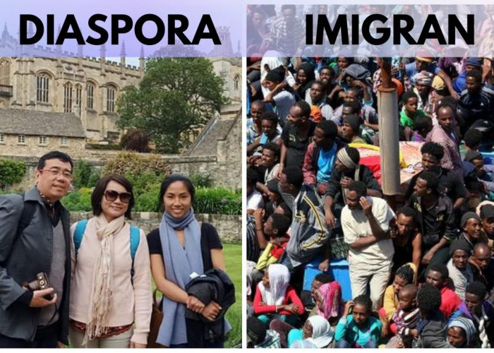 Apa Itu Diaspora dan Imigran? Ternyata Sangat Berbeda