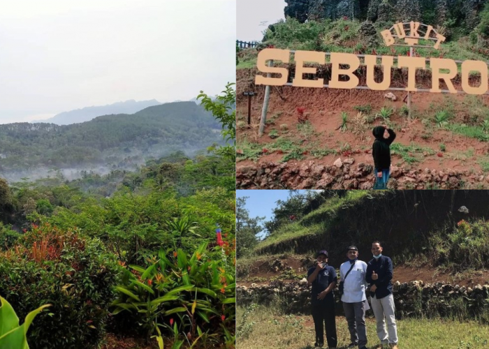 Wisata Bukit Sebutrong: Suguhkan Pemandangan Alam Yang Memukau Dan Penuh Pesona Di Purworejo!!