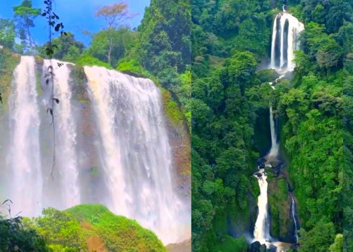 Goa Tersembunyi di Balik Curug Sewu Kendal si Air Terjun Tertinggi se Jawa Tengah, Cek kisahnya !