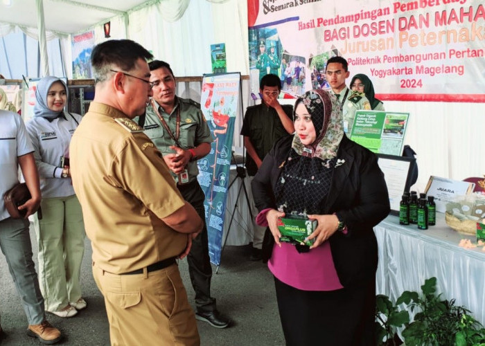 Pupuk Kantong Celup Instan Menangkan Inovasi Daerah Kabupaten Magelang 2024