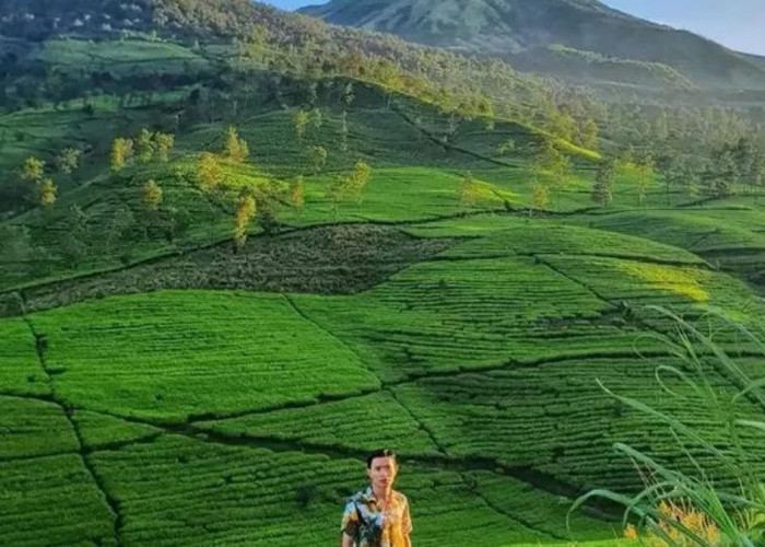 gunung cilik kaliurip wonosobo