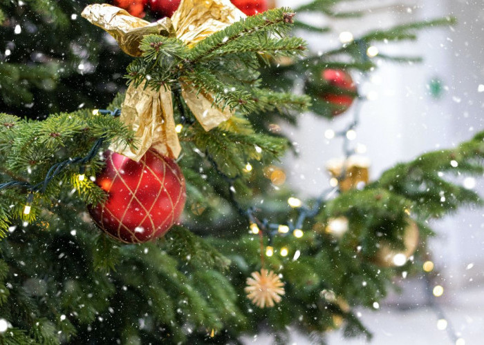 Fatwa MUI  tentang Larangan Umat Islam Mengikuti Natal Bersama dan 6 Alasannya Dalam Al-Qur'an