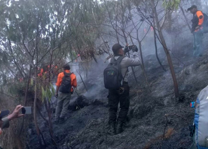 Kebakaran Gunung Sumbing Meluas, Lahan yang Terbakar Mencapai 240 Hektare