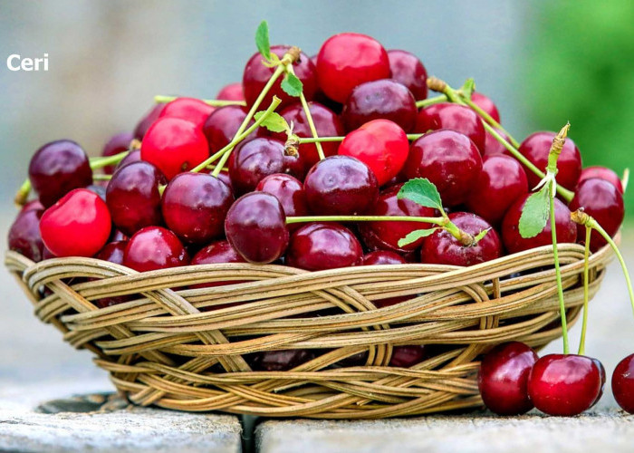 Buah Ceri