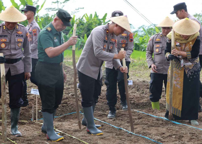 Dukung Ketahanan Pangan, Polres Wonosobo Tebar 57 Kg Bibit Jagung