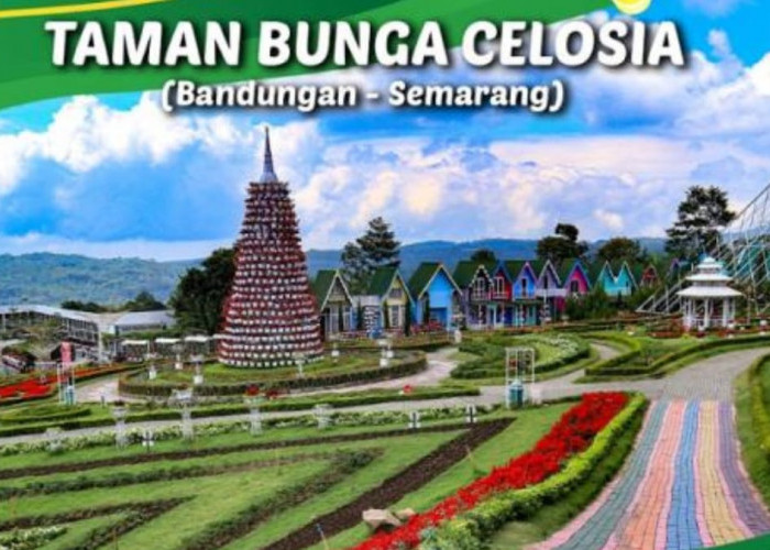 Aneka Macam Wahana Di Objek Wisata Taman Bunga Celosia Semarang