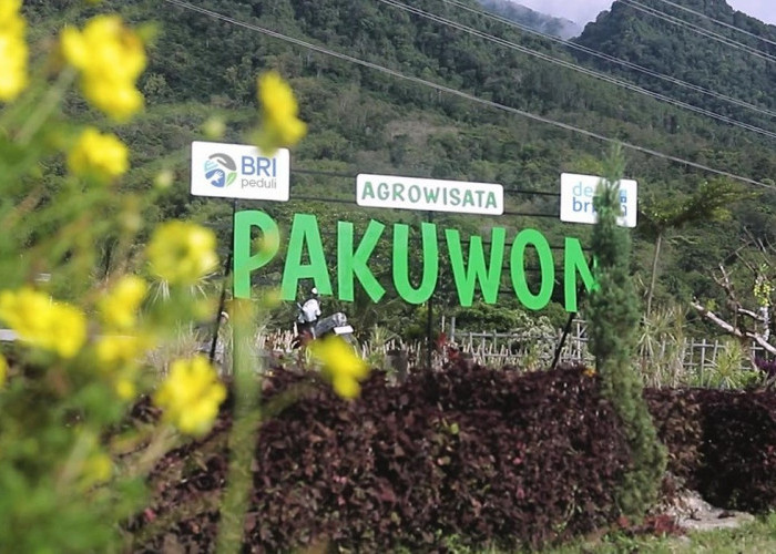 Desa Pajambon di Kuningan Jadi Contoh Transformasi Ekonomi Desa Berbasis Potensi Lokal