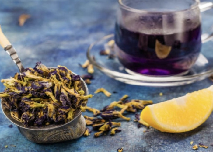 Manfaat Bunga Telang Bagi Kesehatan, Nomor 3 Paling Jarang Orang Tahu!