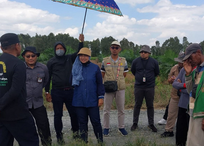 Tak Kenal Waktu Libur, Kabadan PPSDMP Temukan Solusi Perluasan Areal Tanam Di Barito Kuala 