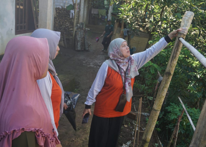 20 Kecamatan di Temanggung Ramai-ramai Tekan Penyebaran DBD, Ini yang Dilakukan