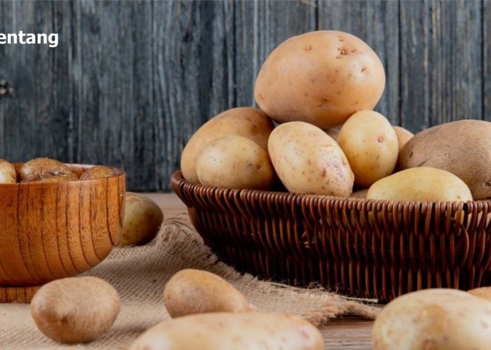 Kentang