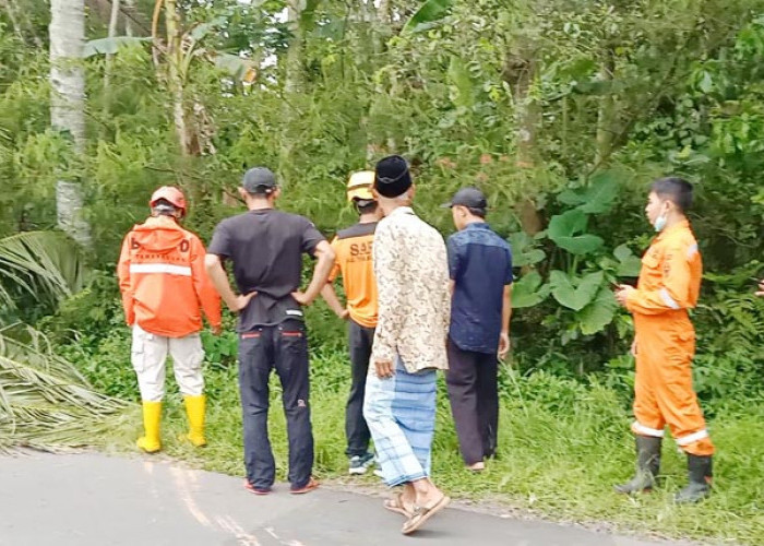 Guru SMA di Temanggung Ditemukan Meninggal Tertimpa Pohon Kelapa Saat Melintas di Jalan Raya