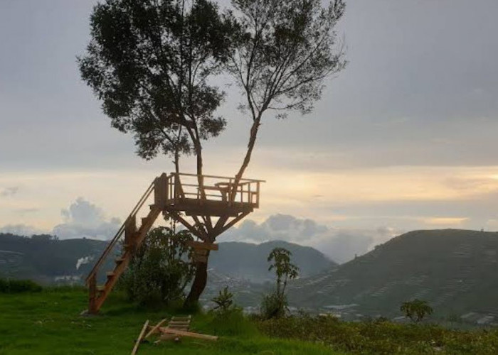 Seharian Trip di Dieng Bisa Kemana Saja? Ini Dia Rekomendasinya