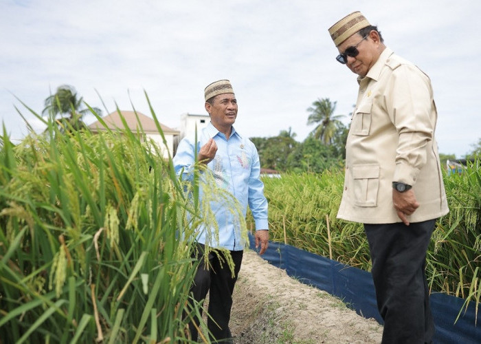 Tinjau Teknologi Tanam PM-AAS, Presiden Prabowo Sebut Inovasi Pertanian Revolusioner