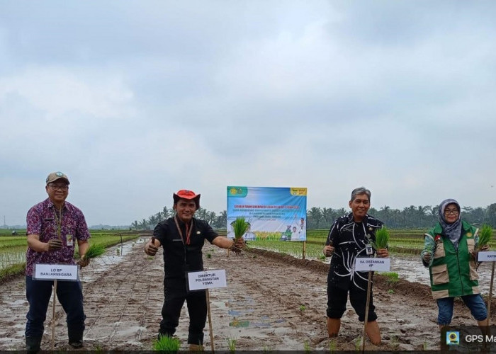 Perkuat Produksi Padi Nasional, Brigade Pangan Banjarnegara Gelar Tanam Serempak