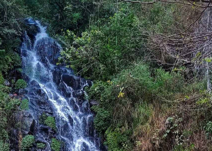 4 Rekomendasi Air Terjun di Kecamatan Ngablak Magelang, Banyak yang Tersembunyi Sudah Tahu Belum?