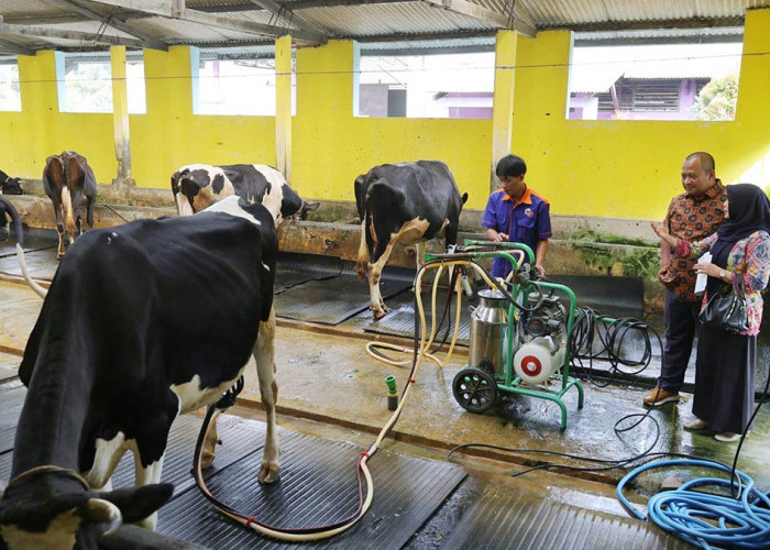 Sektor Peternakan Tahan Krisis, DPRD Desak Balai Pembibitan Jateng Jadi Mesin PAD