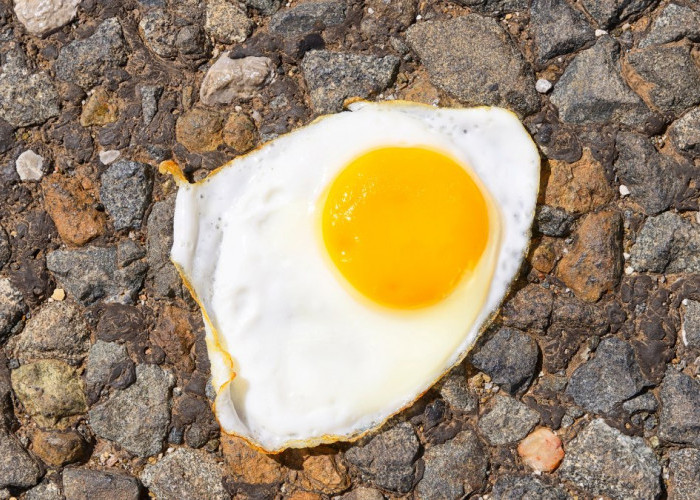 Ilustrasi goreng telur di jalanan