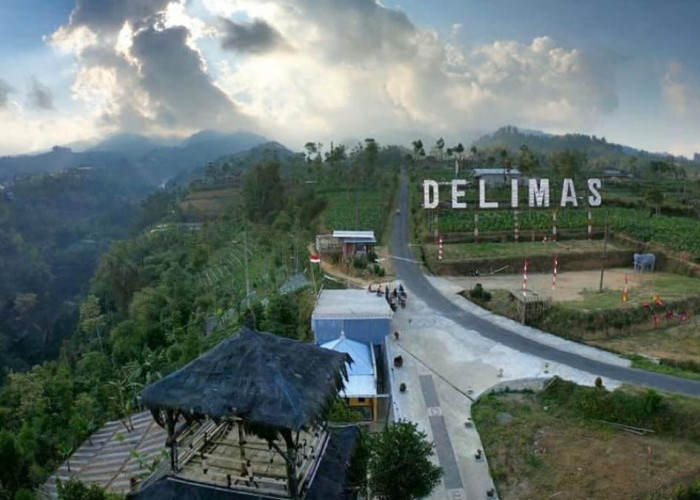 Rekomendasi Wisata Akhir Tahun di Hutan Pinus Wonoroto Windusari dari Kawasan Gunung Giyanti Magelang