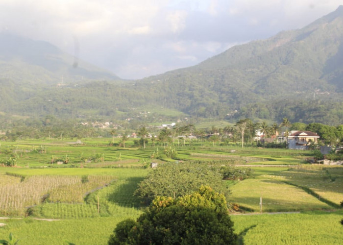 Tombo Ati Caffe Break, Tempat Nongkrong dengan View Gunung dan Sawah di Grabag, Kabupaten Magelang 