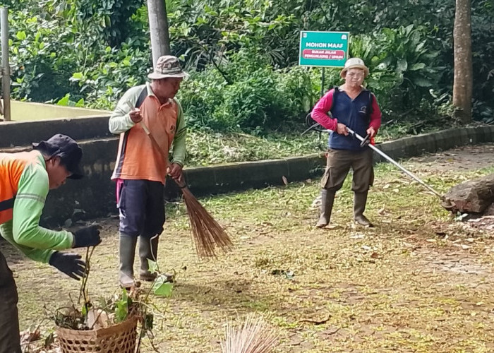 Cegah Tragedi Berulang, Kebun Raya Gunung Tidar Magelang Lakukan Perambasan Pohon