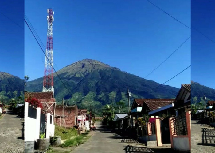 5 Spot Foto dengan View Gunung Sumbing Terbaik di Windusari yang Belum banyak Diketahui Orang