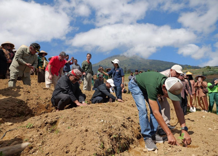 Tradisi Wiwit Lereng Sumbing Dimulai, Petani Tembakau Temanggung Harap Harga Tembus Rp100 Ribu
