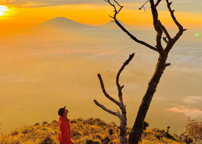 Puncak Gunung Sumbing 