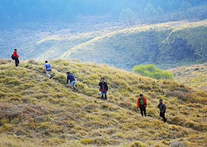 Bukan Afrika! Padang Savana Hidden Gem Hamparan Rumput diatas Awan Ini Ada di Jawa Tengah Lho!