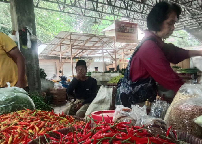 Jelang Musim Kemarau, Harga Komoditi Cabai di Kota Magelang Merangkak Naik