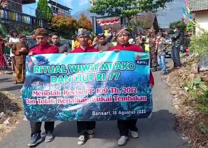 Ritual Wiwit Mbako, Tandai Awal Petik Tembakau di Temanggung