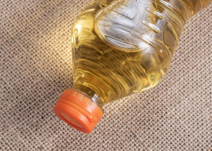 Viral Kompor Darurat dari Tisu dan Minyak Goreng, Begini Cara Kerjanya!