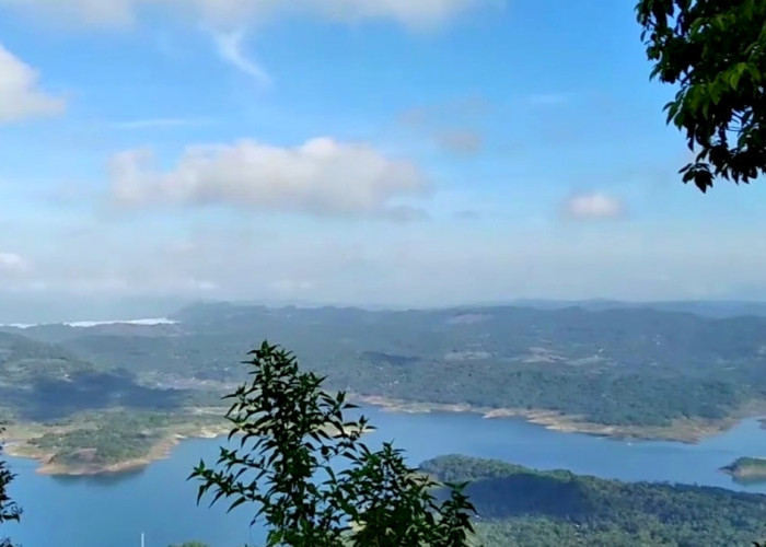 Gunung Windusari Wonosobo Bisa Lihat Waduk Wadaslintang dari Jarak Dekat? Simak Informasi Lengkapnya