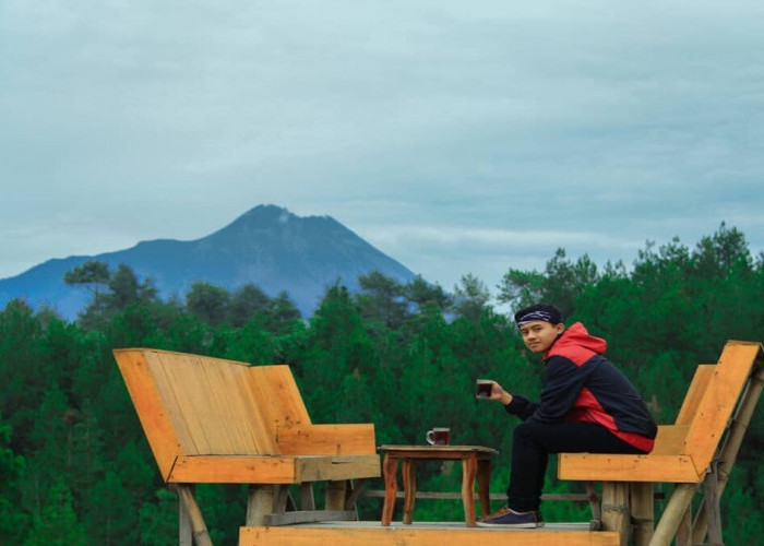 Top Selfie Pinusan Kragilan: Salah Satu Spot Foto yang Sampai Sekarang Masih Hits di Magelang