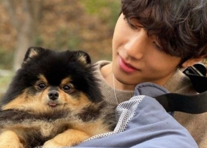 7 Fakta Yeontan Hewan Peliharaan V BTS yang Ternyata Jadi Anjing Kesayangan Para Bangsawan!