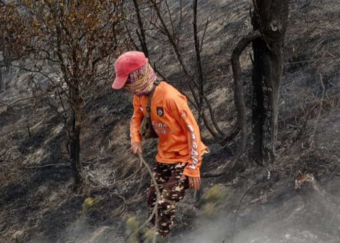 Gunung Pakuwaja Dieng Wonosobo Membara, 5 Hektare Hutan Lindung Hangus Terbakar