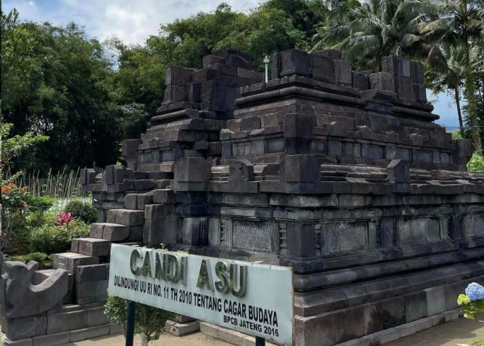 Asal Usul Candi Asu Magelang, Tempat Suci untuk Pemujaan Pada Abad Ke-9