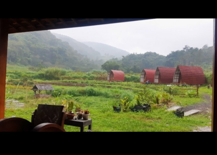 Healing Village penginapan dekat Gunung Telomoyo via Dalangan