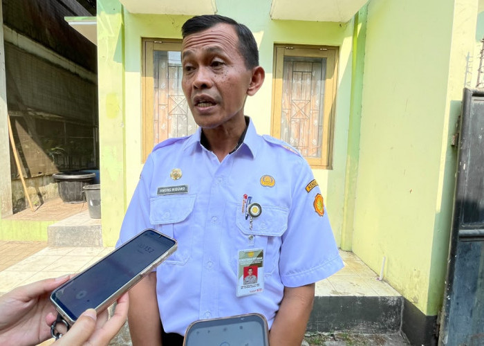 Lahan Sawah Kota Magelang Tersisa 105 Hektare, tapi Hanya 71 Hektare yang Efektif Ditanami