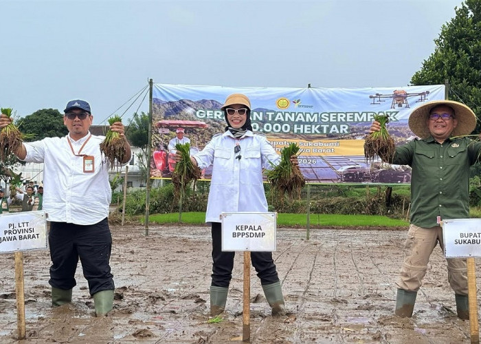 Kementan Percepat Tanam Oplah dan CSR untuk Jaga Produksi Pangan