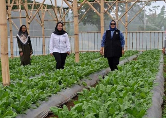Perempuan Nasabah PNM Mekaar di Bandung Barat Kembangkan Usaha lewat Sinergi Ultra Mikro BRI