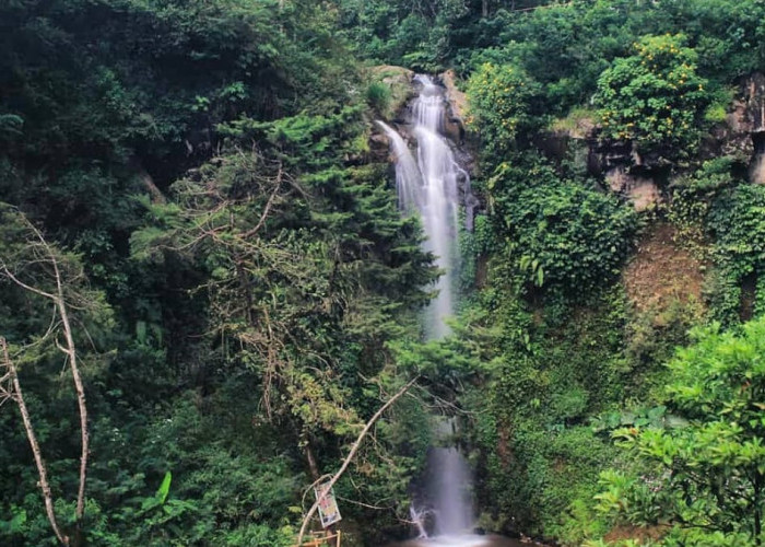 Melihat Keindahan Curug Delimas, Wisata Air Terjun di Magelang dengan Udara Segar dan Air yang Sejuk