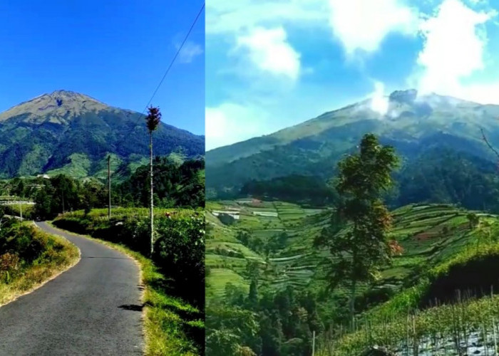 5 Spot Foto dengan View Gunung Sumbing Terbaik di Windusari, Belum Banyak yang Tau!