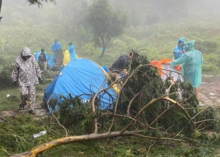 Diterjang Badai, Sejumlah Pendaki Gunung Prau Diungsikan ke Shelter Emergency