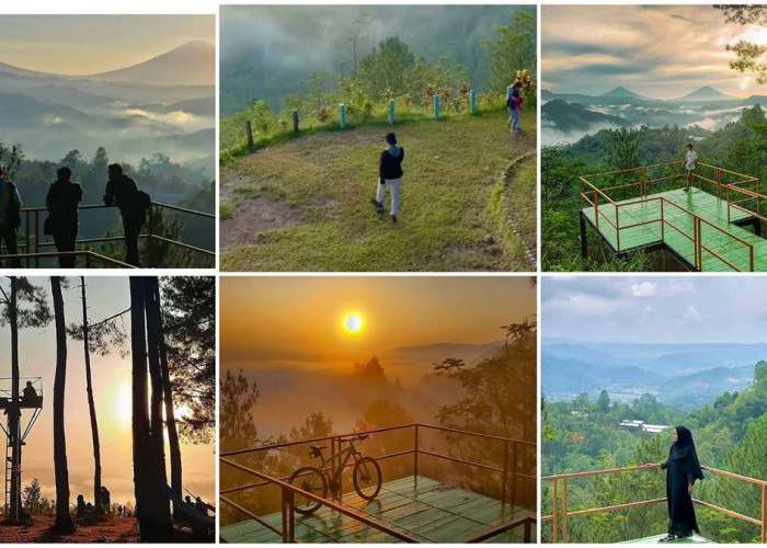 Surga Sunrise di Kebumen Bukit Pentulu Indah Destinasi Wisata Alam yang Wajib Dikunjungi di Kebumen