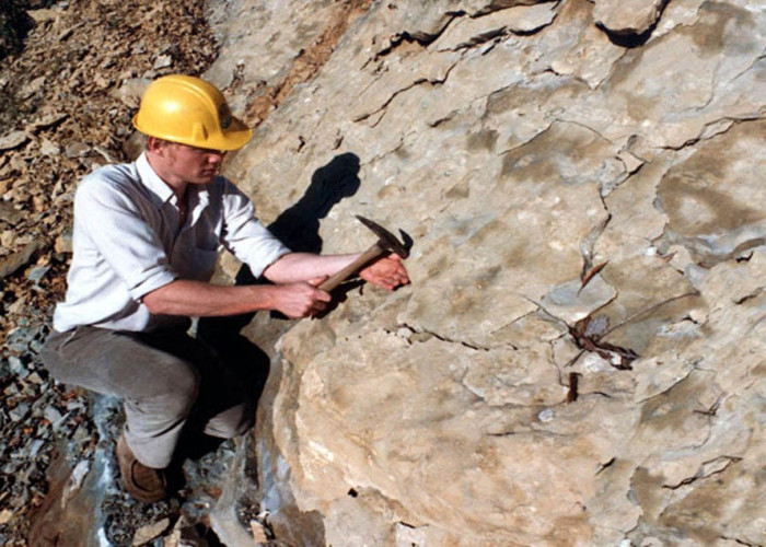 Posisi dan Prospek Kerja Ahli Geologi dengan Gaji Menjanjikan