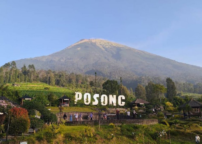 Wisata Temanggung Spot Terbaik Untuk Melihat View Gunung Sindoro, Inilah Pesona Posong