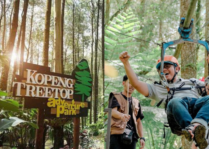 Patut Untuk Dikunjungi! Kopeng Treetop Adventure Park Cocok Untuk Menghabiskan Liburan Bersama Keluarga