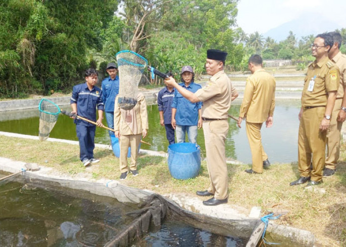 Beong Ikan Endemic Magelang Dipanen